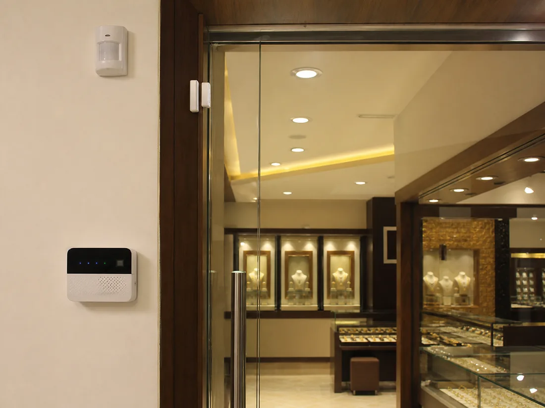 Anti-Theft Alarm Protection